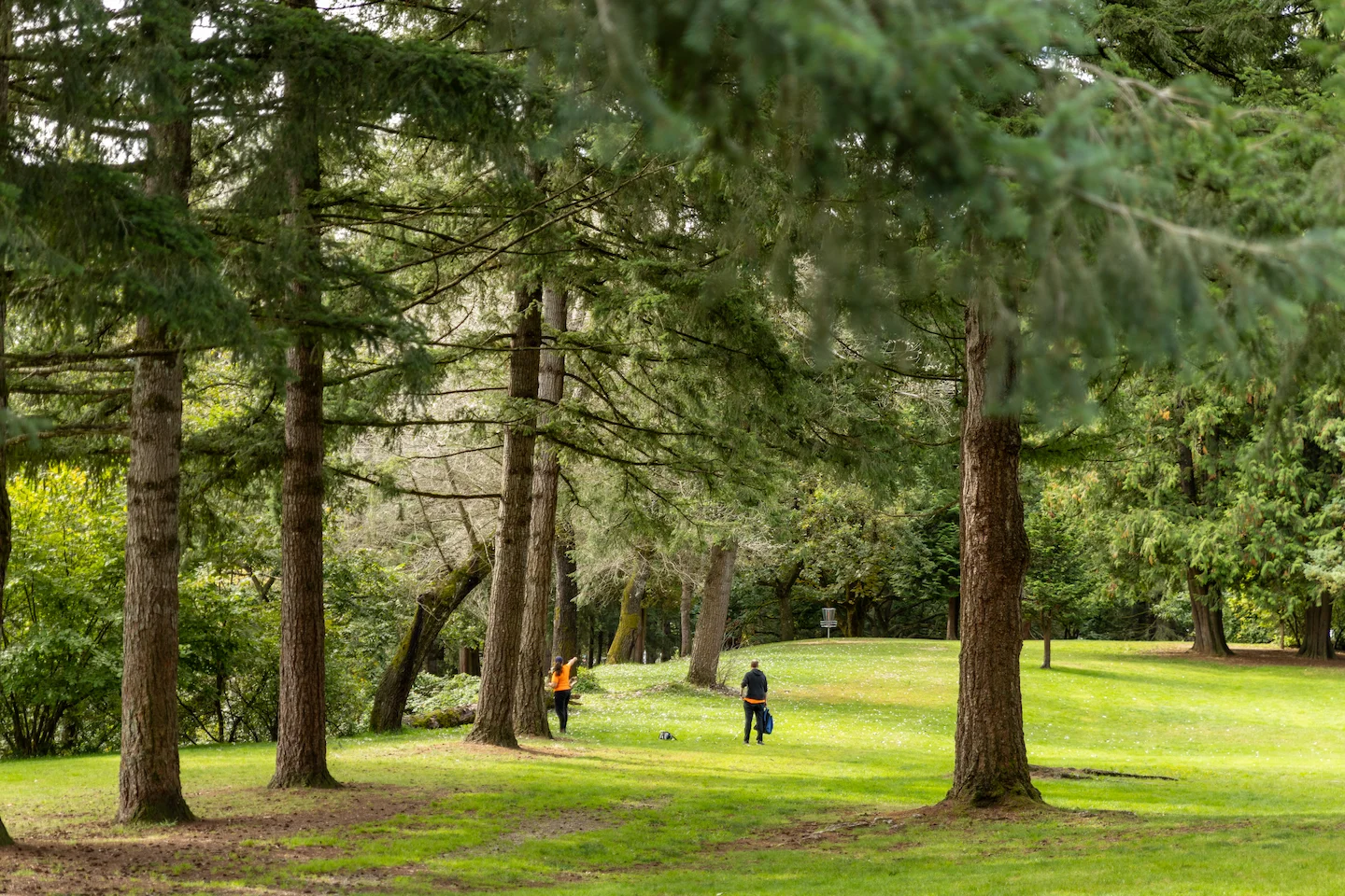 Lush green park setting with tall trees and walking paths in Mission, BC, reflecting the natural surroundings near Madison townhomes.